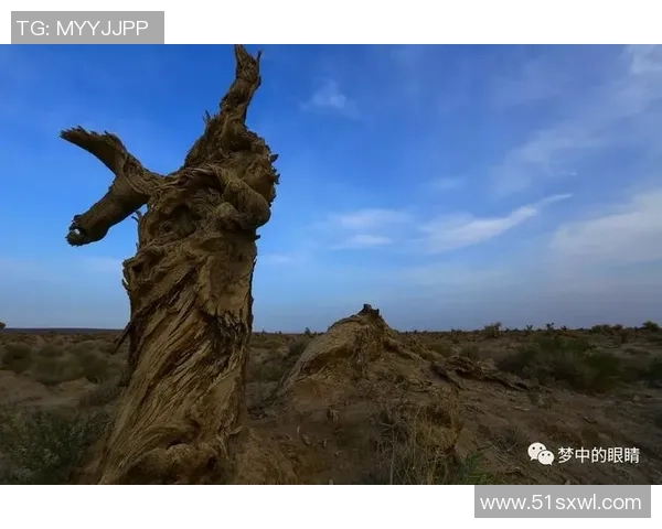 59年足球传奇的辉煌岁月与不朽精神的传承之路